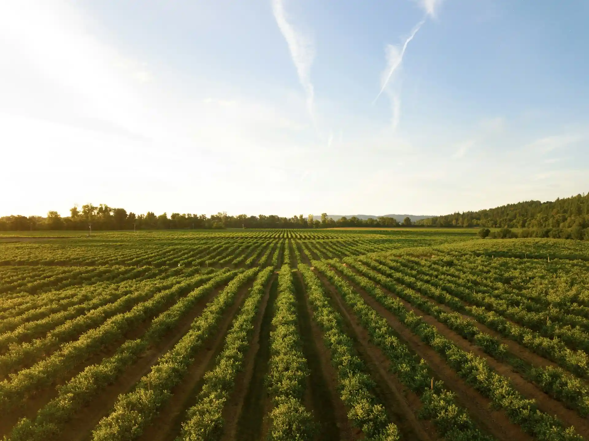 Two-Way Radio Solutions for Agriculture